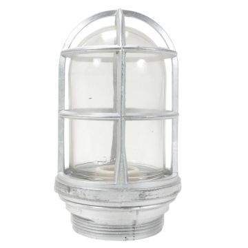 Appleton VU100M hazardous location incandescent luminaire with globe and guard