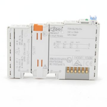 WAGO 750-554 Analog Output Module Product